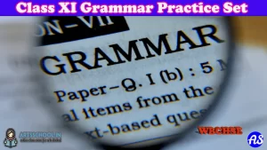 Class XI Textual Grammar Practice Set